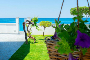 Mbaccimari B&B Cetraro